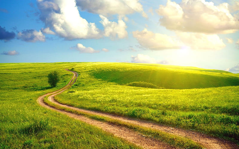 beautiful landscape with path