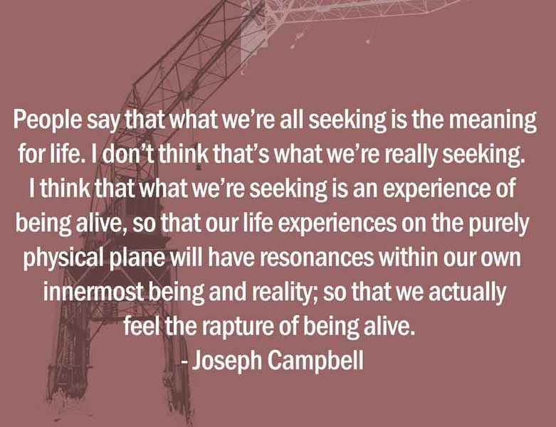 引述乔瑟夫·坎贝尔关于追随你的幸福