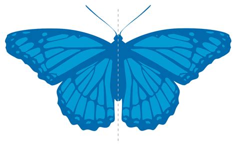 Symmetry (geometry) - Wikipedia