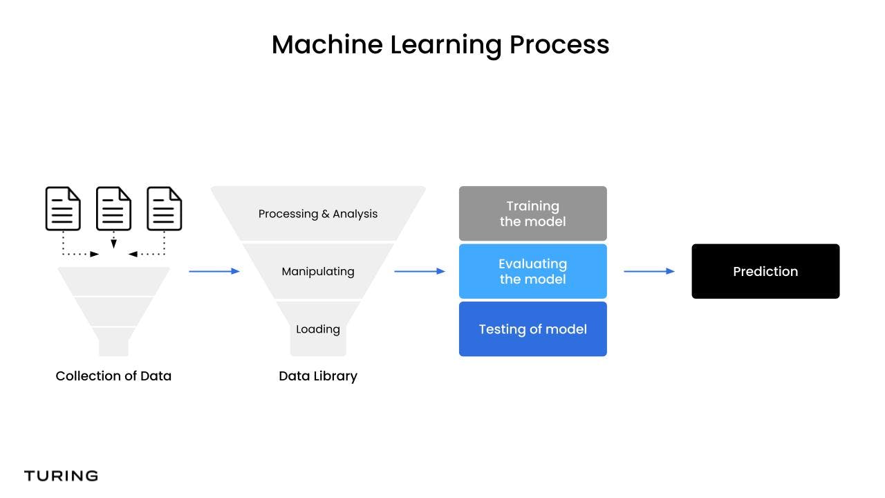 model training setup and data preprocessing