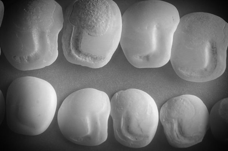 fish-eye-stone-components-e99uyvst