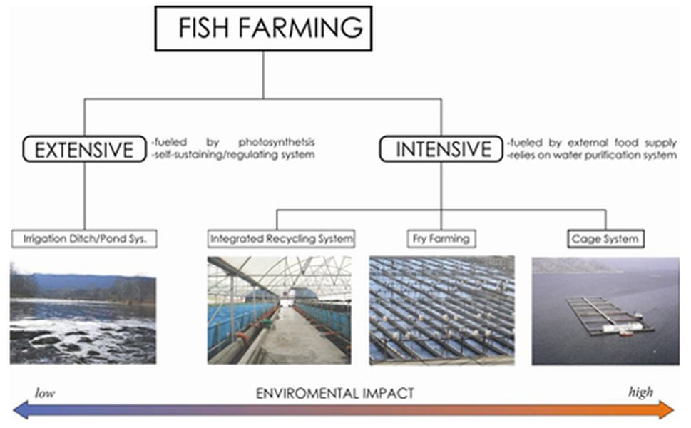 fish-farming-types-and-methods-wckwndns