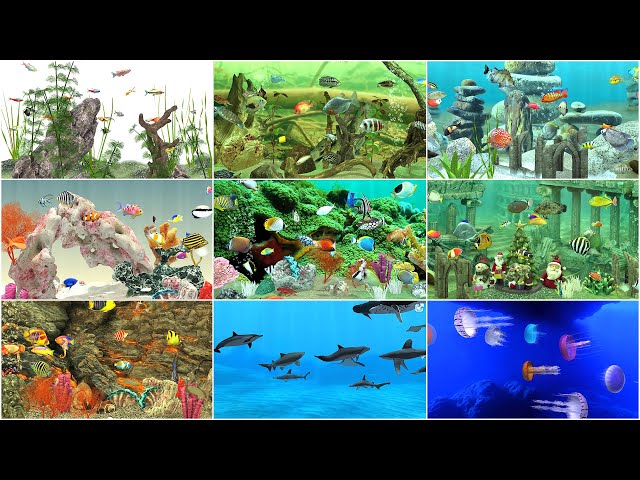 aquatic scenery fish farming