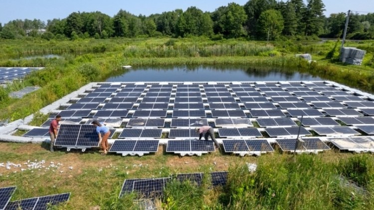 floating solar panels water, treatment wetlands, lab organoid research