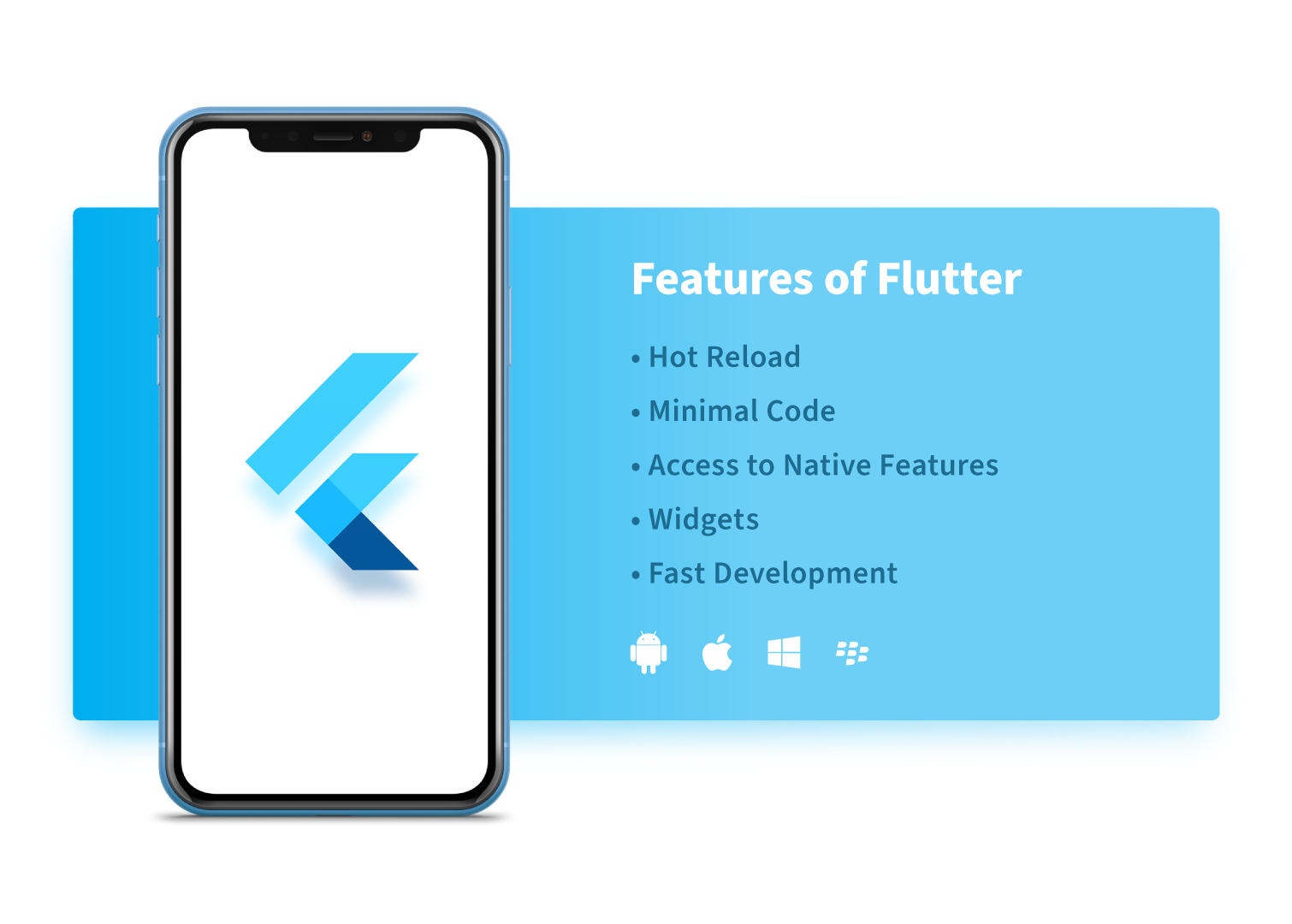 flutter development equipment and mobile devices