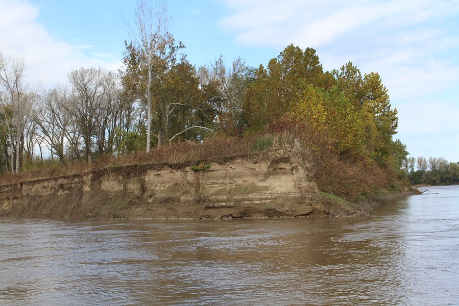Exposed layers of fluvial sediment showing distinct stratification and varying textures at Crandberry Bend.