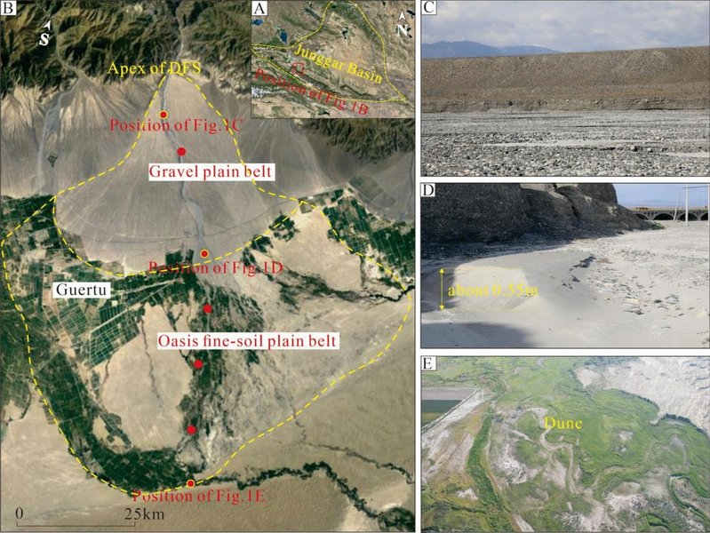 Diagram illustrating the sedimentary characteristics of a distributive fluvial system (fluvial fan).