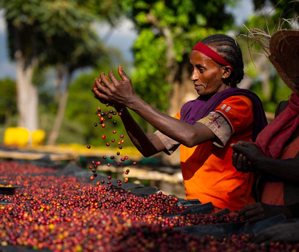 Ethiopian farmland market food produce