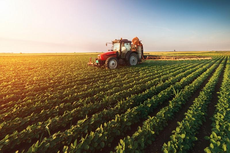 Ethiopian agricultural fields and markets