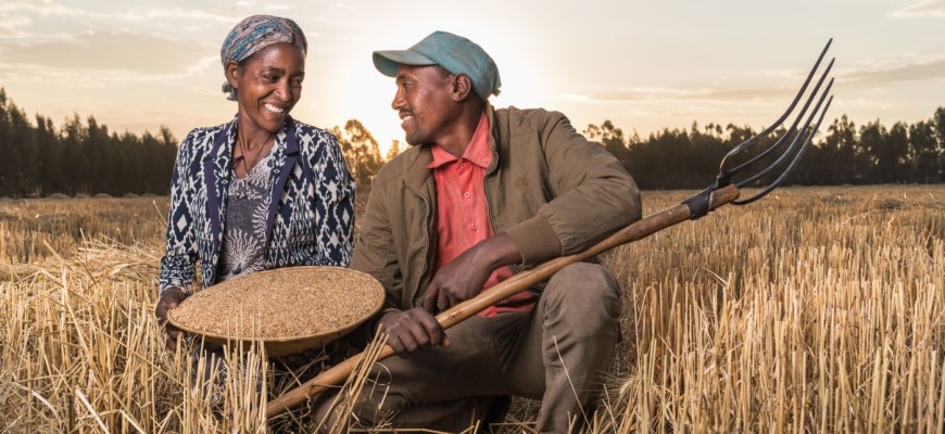 Ethiopian agricultural fields and market scene
