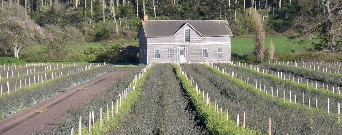 physical objects and rural landscape