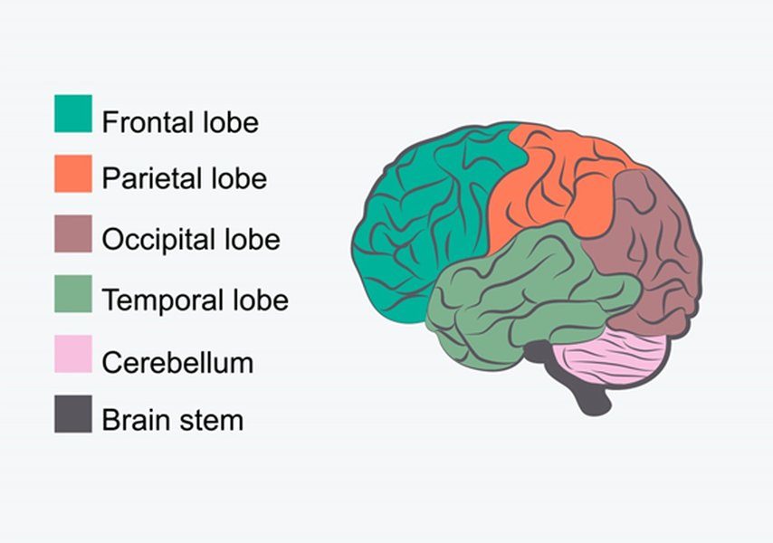 foundational-cognitive-skills-explained-yob08p2x