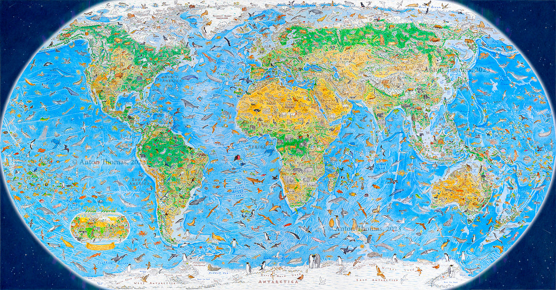 colorful map illustration nature graph paper