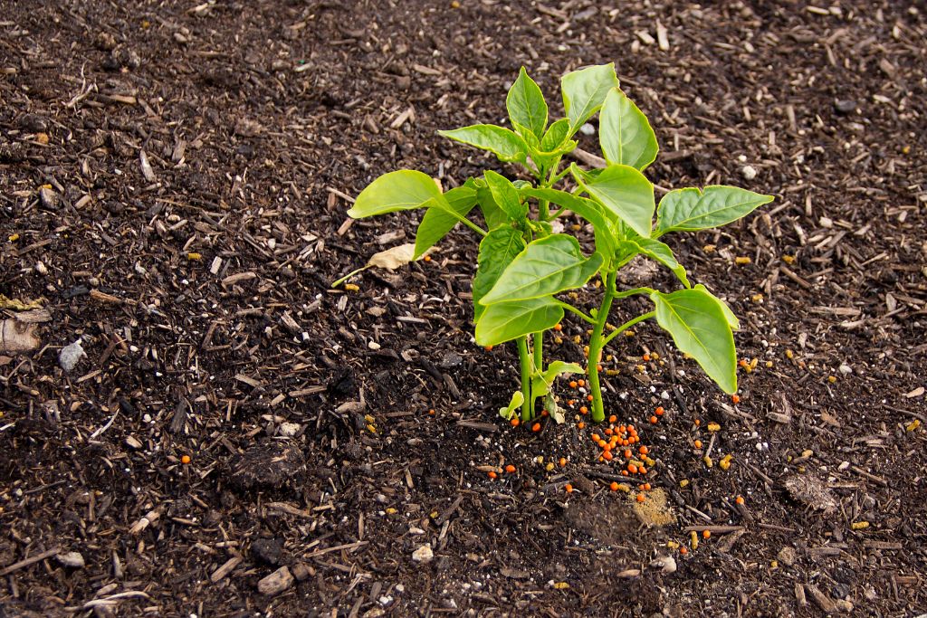 organic fertilizer fields natural landscape