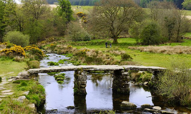 fraudulent business documents and devon scenery