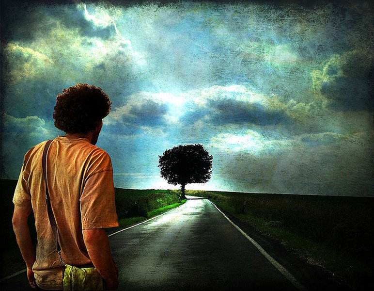 fromm-fear-freedom-responsibility-explained-9wktcjrt