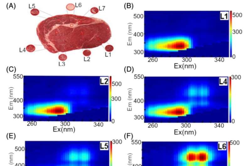 beef meat spectrum laboratory