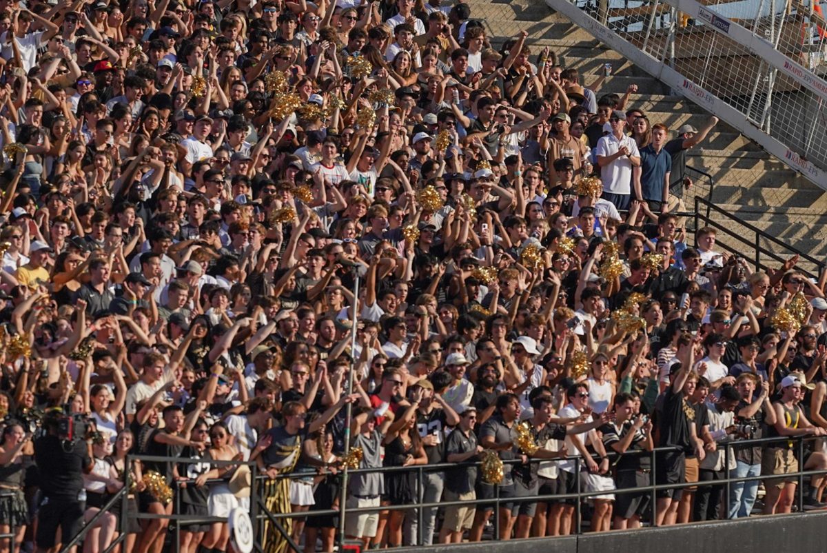 football stadium crowd action
