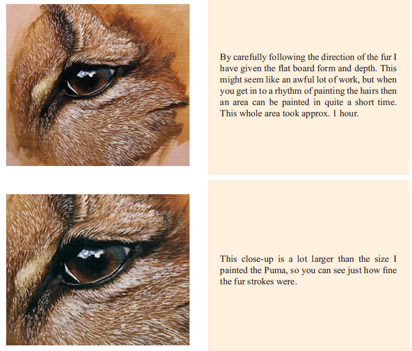 realistic animal fur texture painting