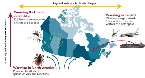 virus emergence urbanization climate change