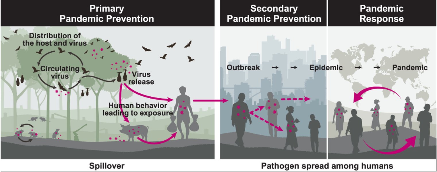 future-pandemic-risks-explained-jcl2mr9q