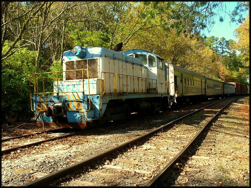 ga train photo