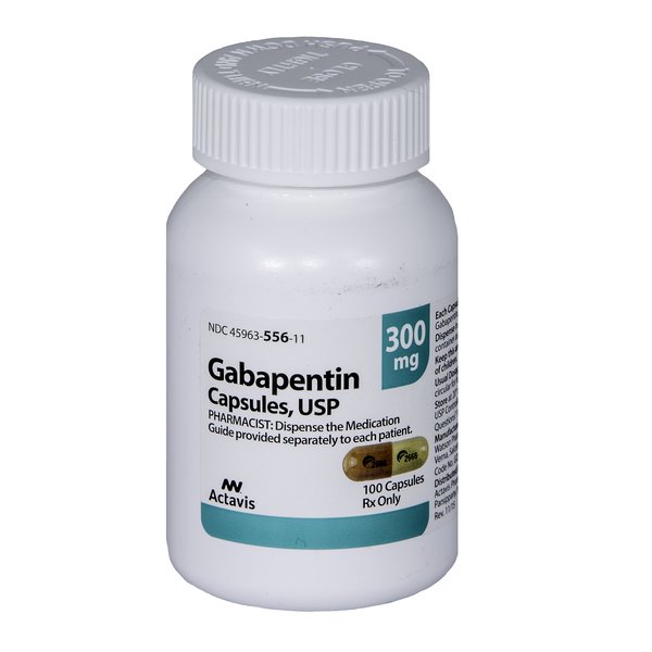 gabapentin-dogs-snake-bites-uucqz3iv