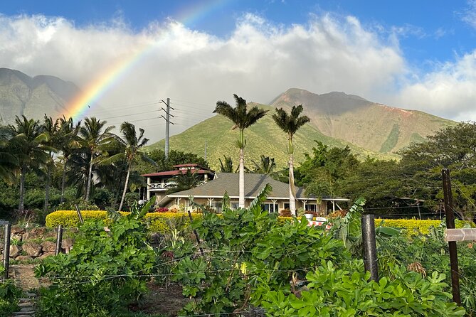 tropical farm landscape with attractions