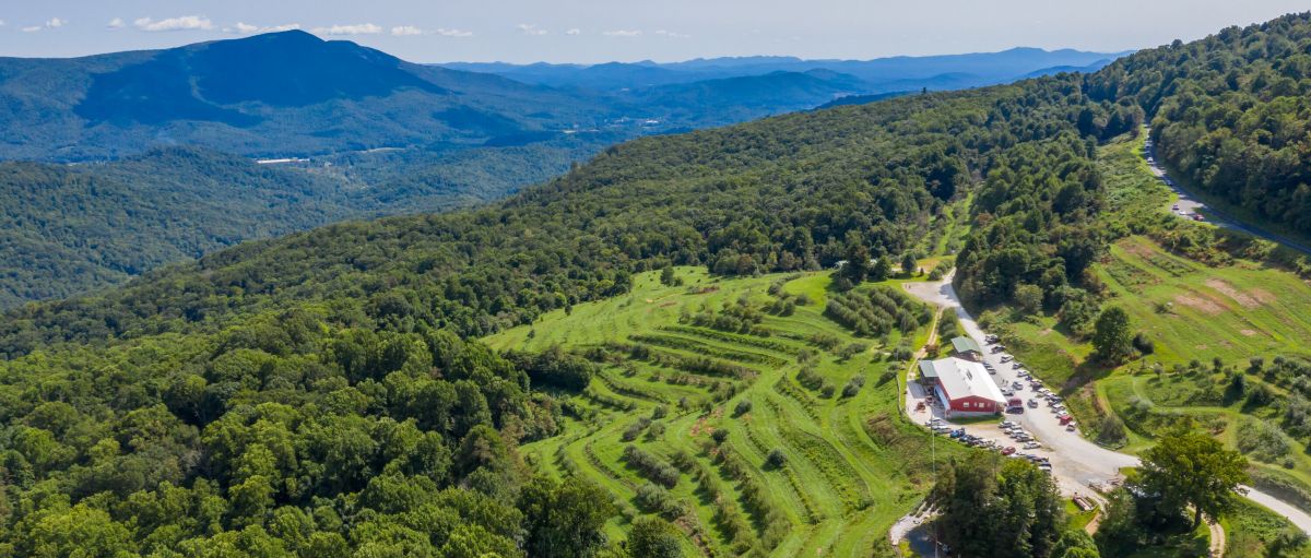 mountainous farmland with orchards