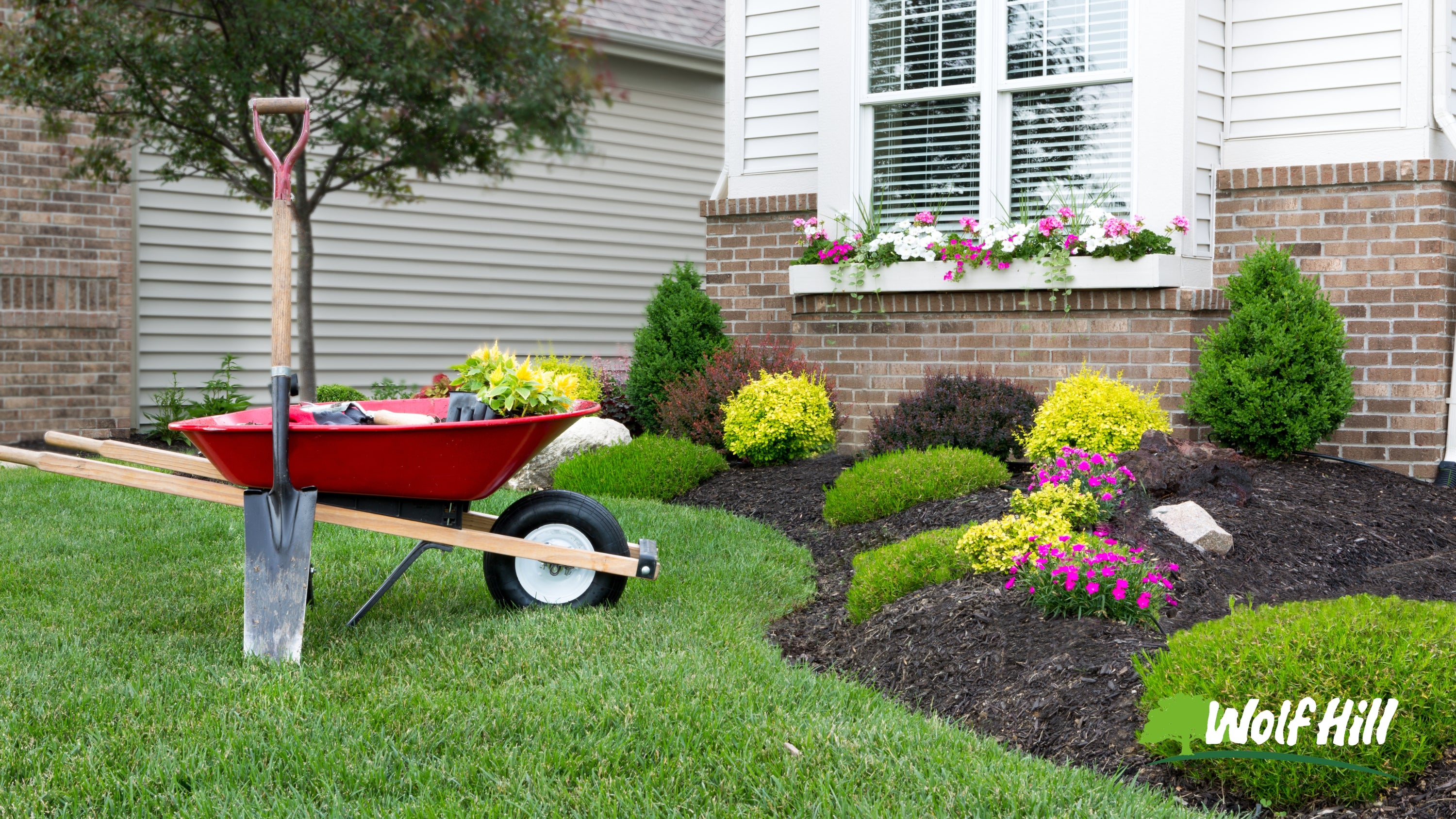 landscape gardening maintenance outdoor