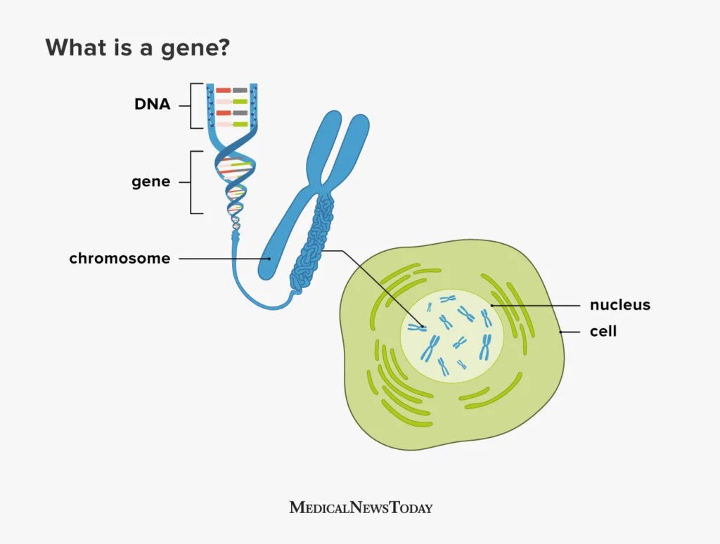 genetic analysis physical objects