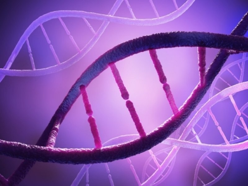 Ithy - Unlocking the Secrets of Heredity: Engaging Genetics Projects ...
