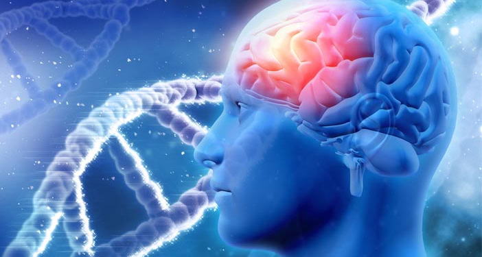 genetic intelligence development