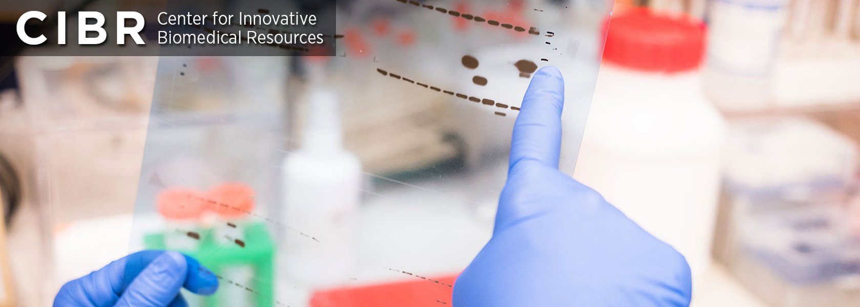 Scientists working in a protein analysis laboratory