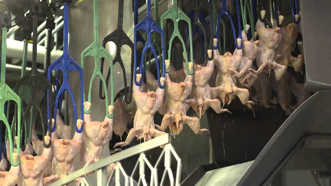 米国の鶏肉加工施設内部