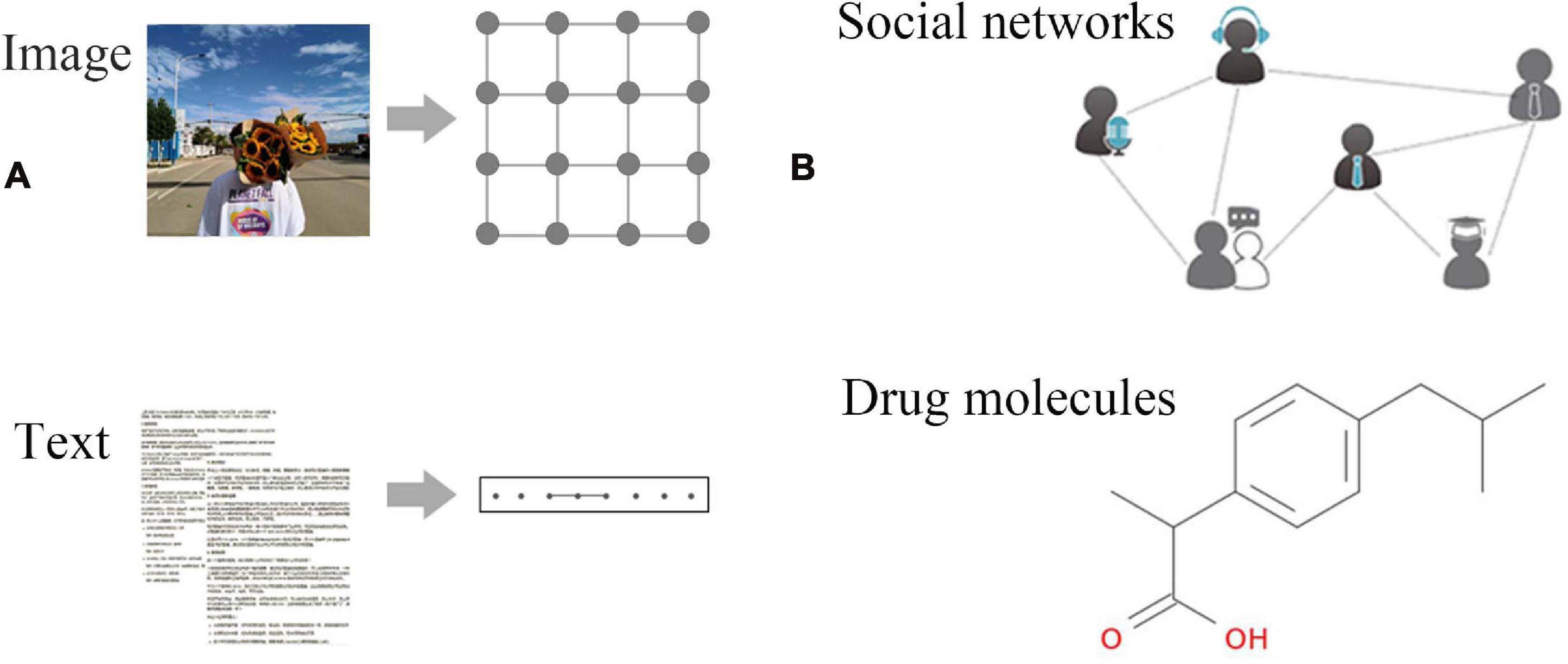 graph neural network image recognition text generation