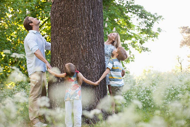 parent child connection in natural setting