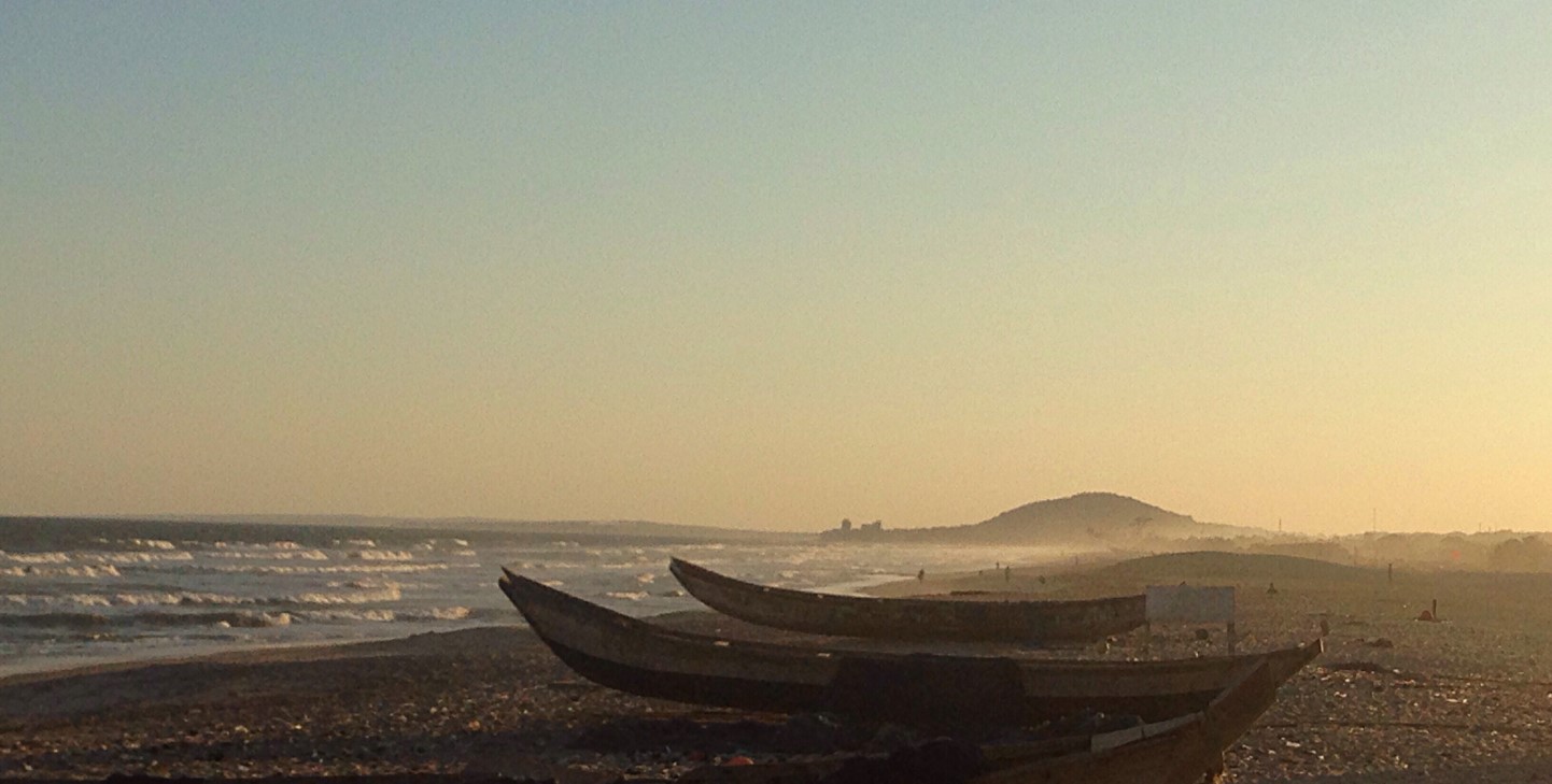 Ghana coastal landscape marine life