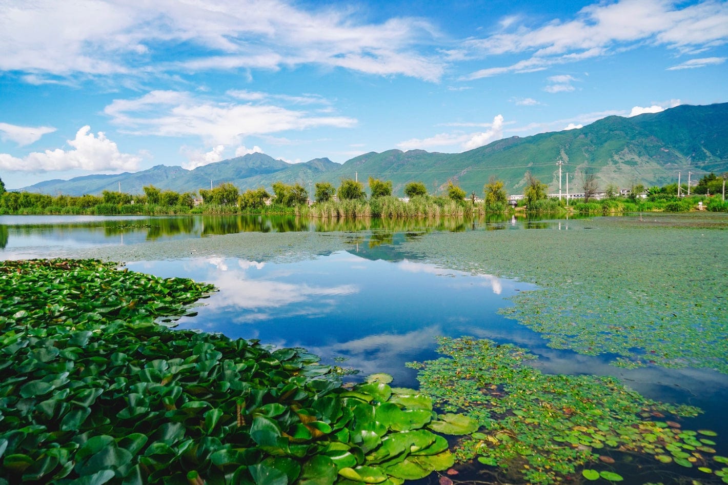 nature scene green banking infrastructure