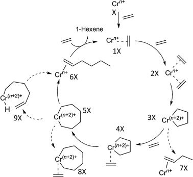chromium catalysts in polymerization