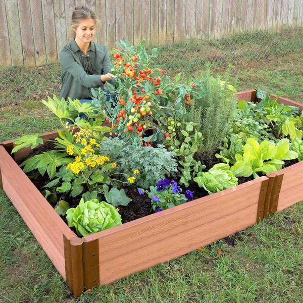 A well-maintained raised garden bed filled with healthy vegetable plants.