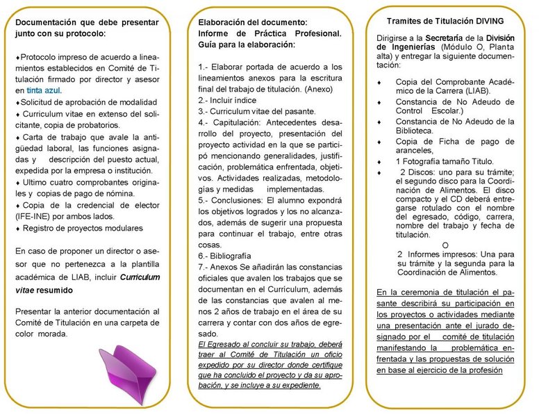 guia-informe-practica-profesional-5gamoe58