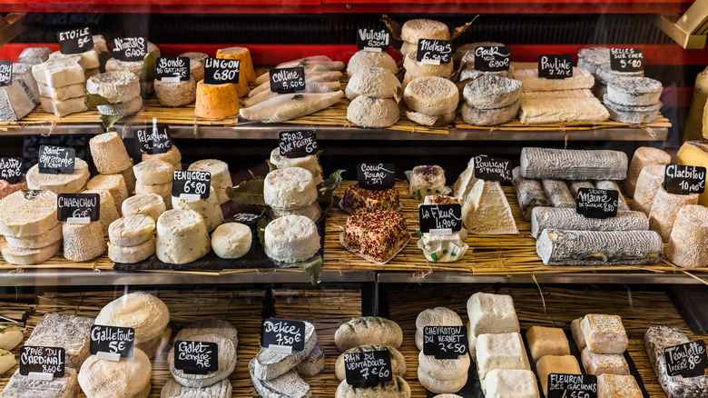 cheese selection tasting table