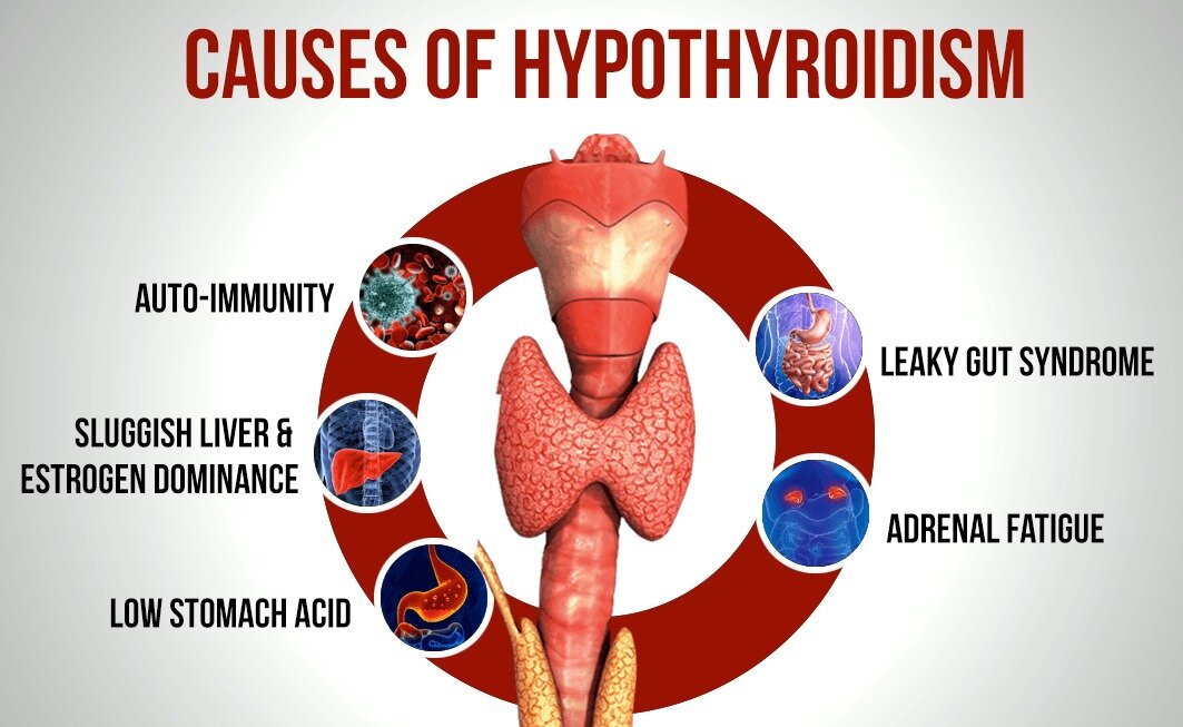 thyroid gland inflammation and healthy lifestyle