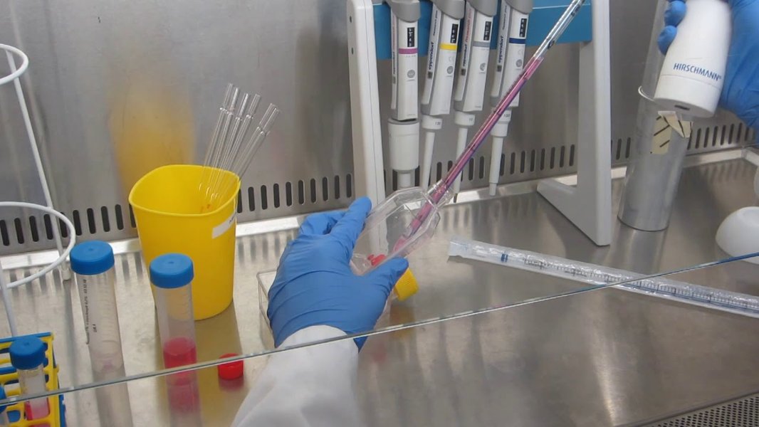 HaCaT cell culture laboratory equipment