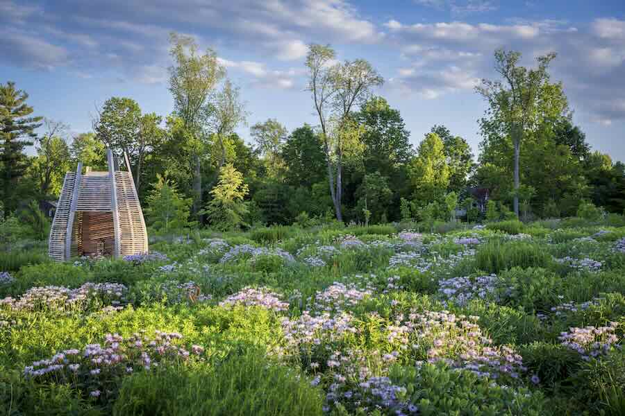 heavenly landscapes urban gardens