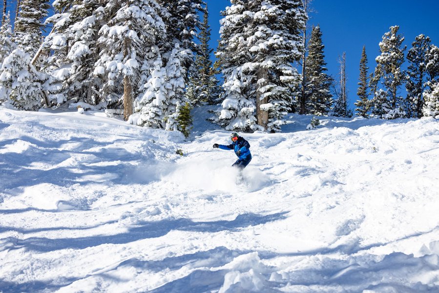 skiers on snowy mountain