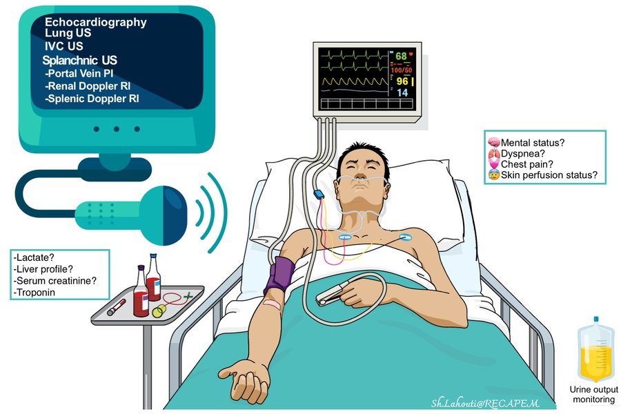 Echocardiography in hemodynamic monitoring