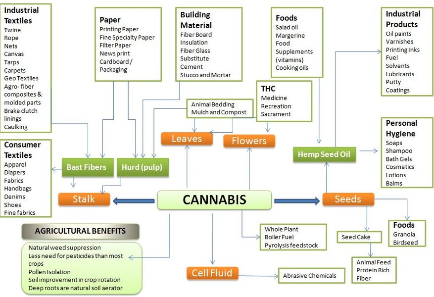 hemp-leaf-animal-feed-potential-w9e7av5u