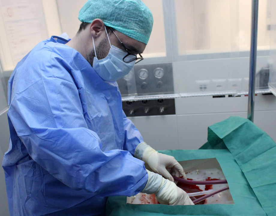 liver, medical equipment, healthcare research